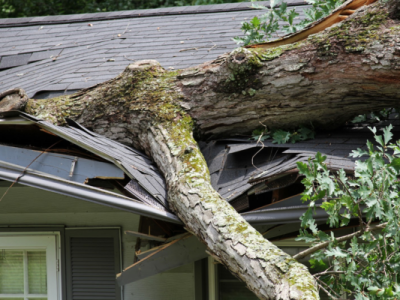 Storm Damage Roof Repair